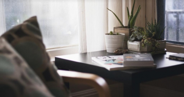 Plantas y luz para un ambiente sano